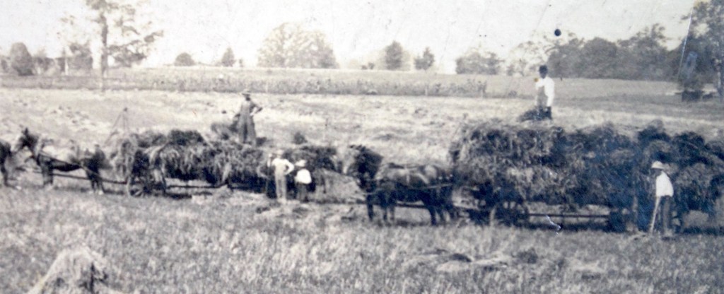 Photograph of farmers from the collection